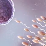 «Ιατρική συμφορά» στην Ολλανδία: 85 δότες σπέρματος απέκτησαν πάνω από… 25 παιδιά