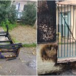 Θεσσαλονίκη: Πέταξαν καναπέ σε αυλή σχολείου και του έβαλαν φωτιά