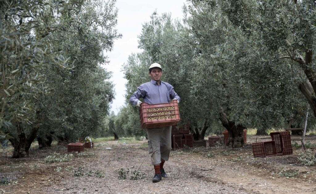 Πληρωμή ΟΠΕΚΕΠΕ: Τι ώρα τα λεφτά στους λογαριασμούς, ποιοι τα παίρνουν μετά το Πάσχα