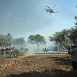 Ακαθάριστα οικόπεδα 2025