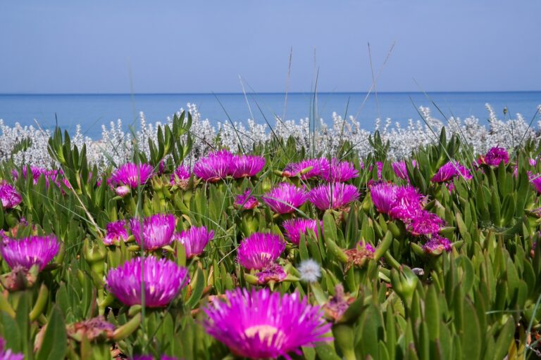 καιρός πάσχα 2025 θερμοκρασία