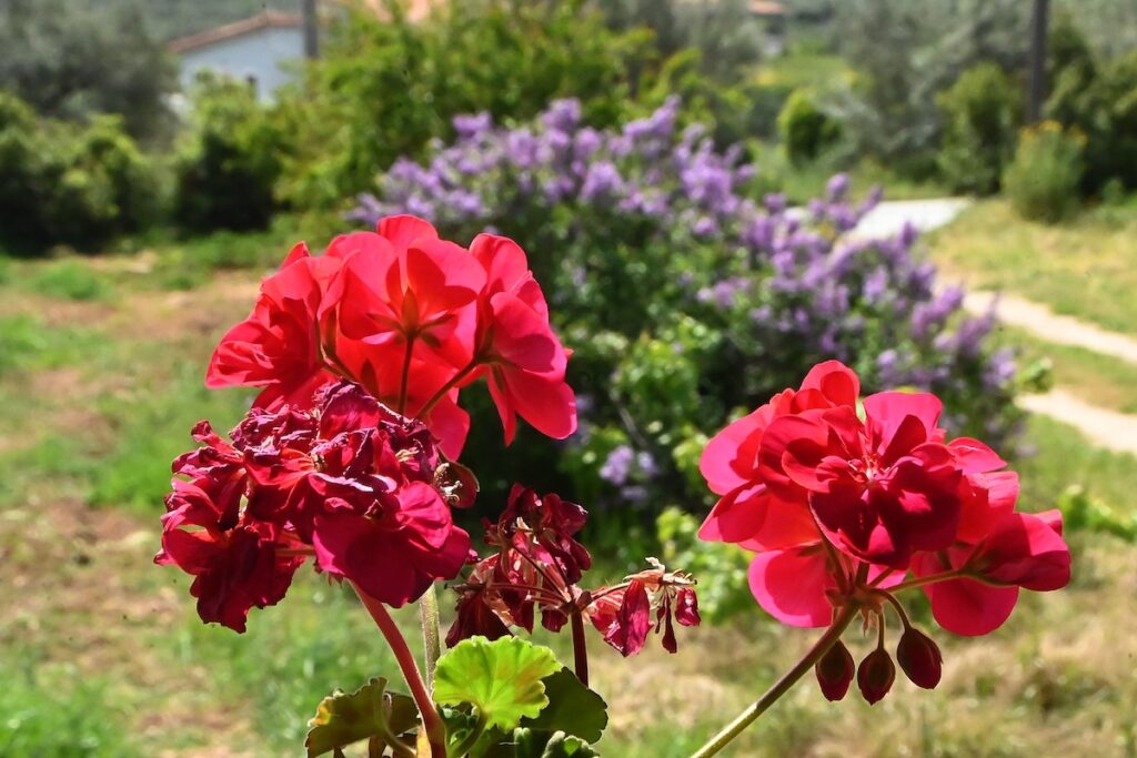 Καιρός Άνοιξη