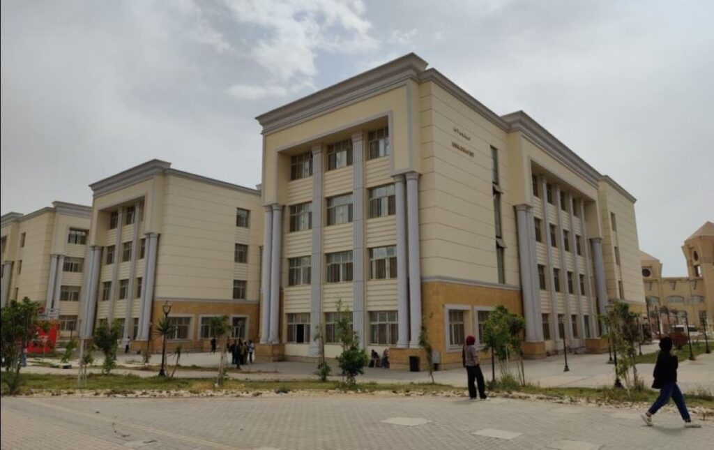 Helwan University