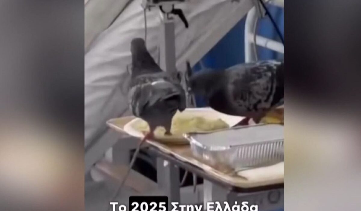 ερυθρός σταυρός