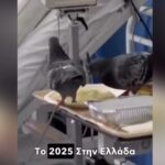 ερυθρός σταυρός