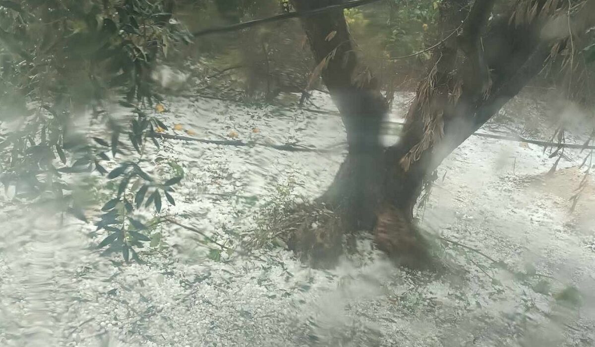 Το… έστρωσε στο Αγρίνιο: Σφοδρό χαλάζι σε πολλές περιοχές – Φωτογραφίες, βίντεο