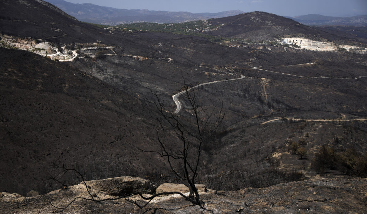 Μέσα σε 8 χρόνια χάθηκε το 37% των δασών της Αττικής – Αγωνία για το καλοκαίρι