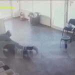 «Φαρ Ουέστ» στον Ασπρόπυργο: Ένοπλος εισέβαλε σε βενζινάδικο και έσερνε τον υπάλληλο στο πάτωμα