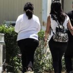 δημοσιογράφος