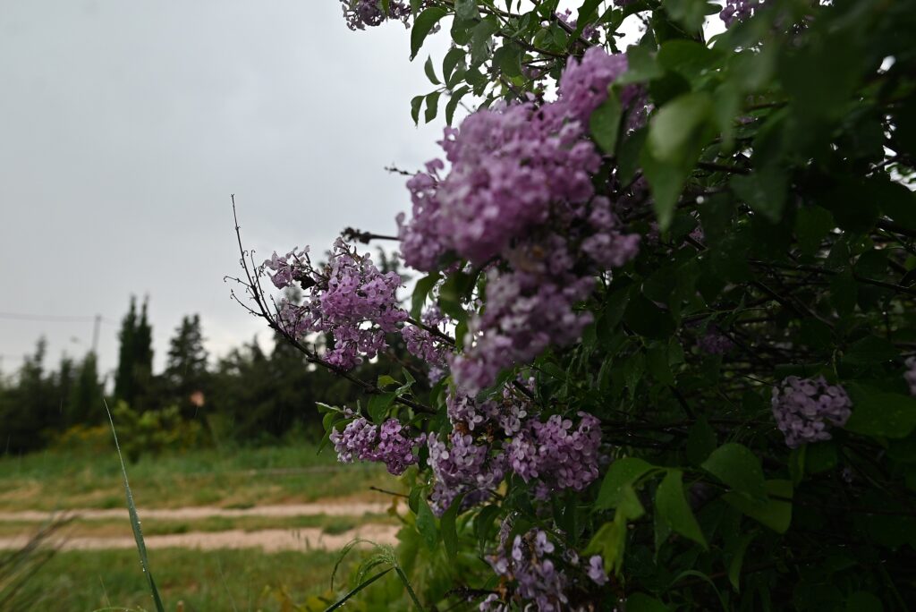 καιρός