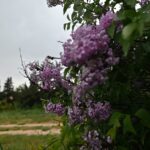 καιρός
