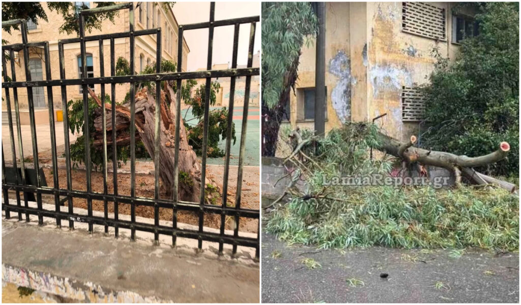 Κακοκαιρία: Προβλήματα σε Αθήνα, Λαμία και Κρήτη - Πλημμυρισμένοι δρόμοι και πτώσεις δέντρων
