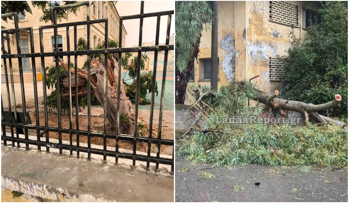 Κακοκαιρία: Προβλήματα σε Αθήνα, Λαμία και Κρήτη - Πλημμυρισμένοι δρόμοι και πτώσεις δέντρων