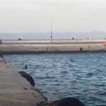 Μυτιλήνη