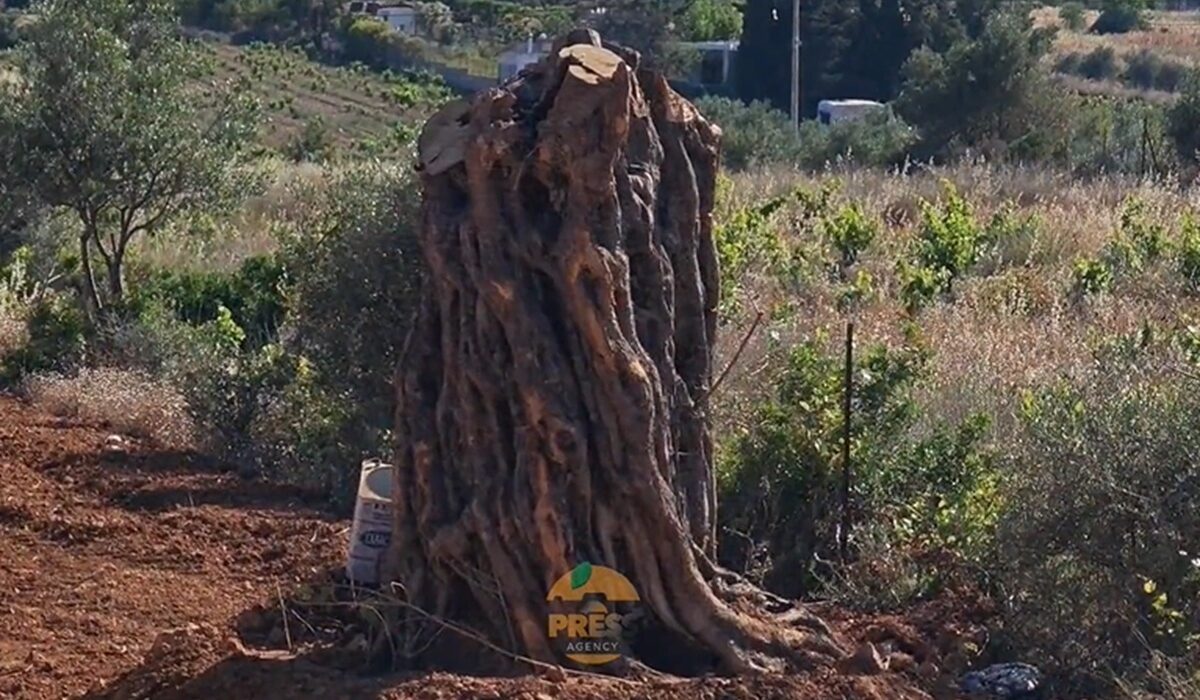 Ραφήνα: Στον εισαγγελέα ο 46χρονος που κατηγορείται για τη δολοφονία του 41χρονου