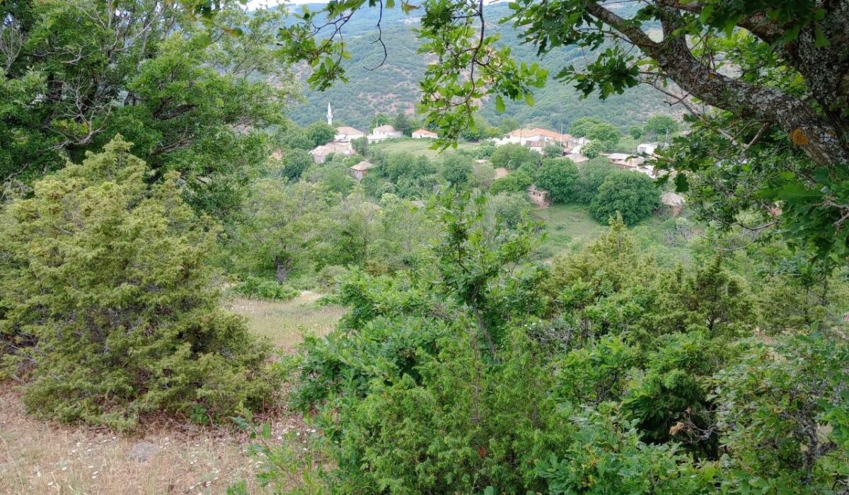 Βίντεο από το κρησφύγετο του Τούρκου μαφιόζου που πυροβόλησε πράκτορες της ΕΥΠ