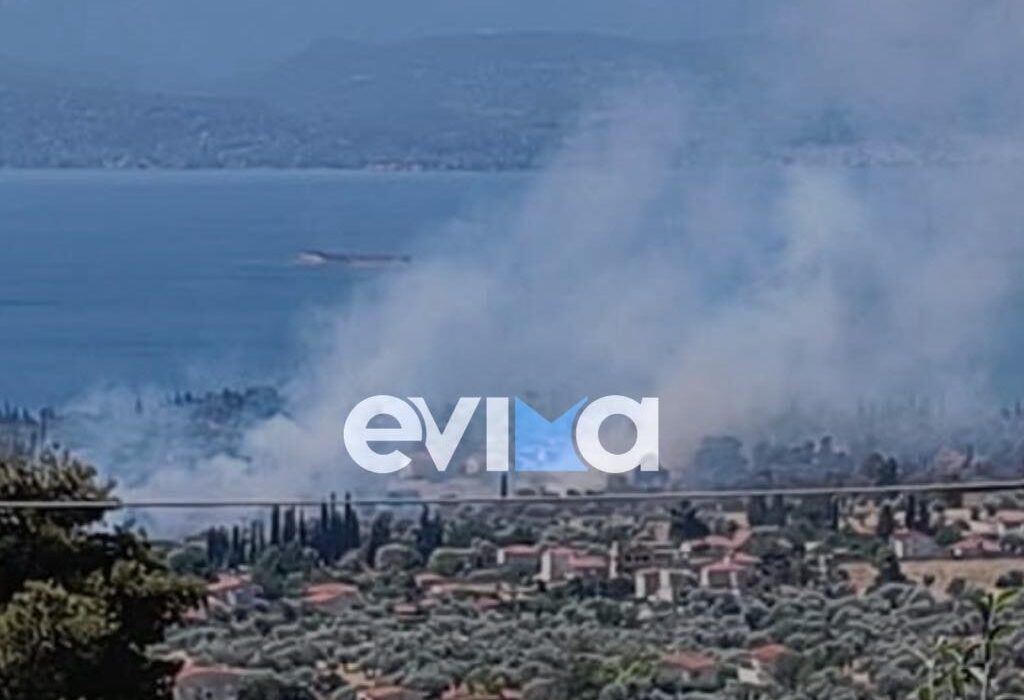 Εύβοια: Φωτιά τώρα στην Ερέτρια – Κοντά σε σπίτια οι φλόγες – Μήνυμα από το 112