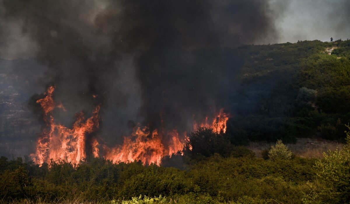 φωτιά τώρα Φθιώτιδα