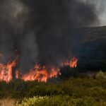 φωτιά τώρα Φθιώτιδα
