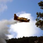 Φωτιά τώρα στη Βοιωτία – Στη μάχη 8 εναέρια μέσα