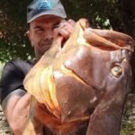 Ασύλληπτη ψαριά για ψαροντουφεκά από τον Βόλο – Έβγαλε ροφό 27 κιλών