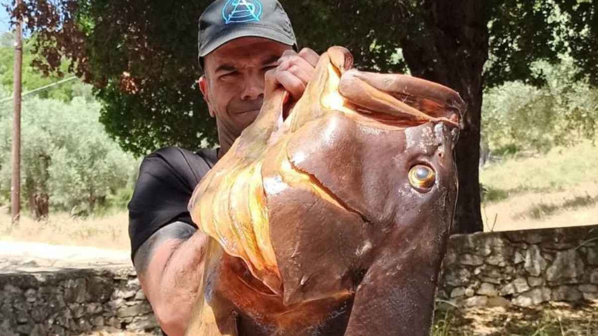 Ασύλληπτη ψαριά για ψαροντουφεκά από τον Βόλο – Έβγαλε ροφό 27 κιλών