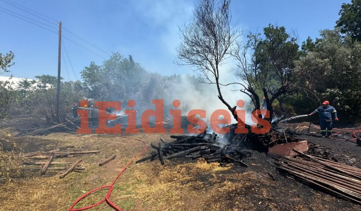 Συναγερμός για φωτιά δίπλα στο Σισμανόγλειο (Βίντεο)