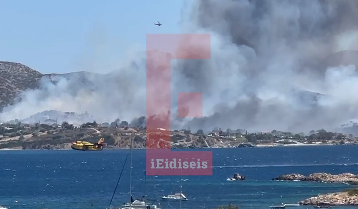 Μεγάλη φωτιά στο Θυμάρι Αναβύσσου: Καίγονται σπίτια, συνεχείς εκκενώσεις – Εικόνες, βίντεο