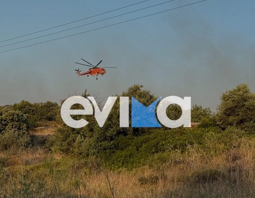 Φωτιά Πυρκαγιά Εύβοια