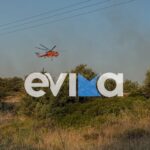 Φωτιά Πυρκαγιά Εύβοια