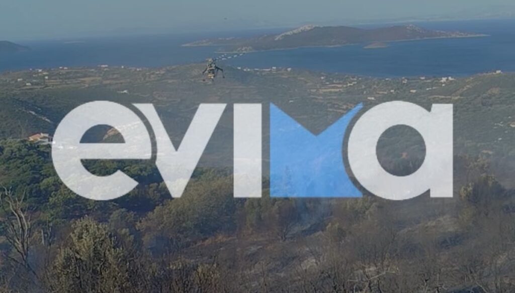 Φωτιά Πυρκαγιά Εύβοια