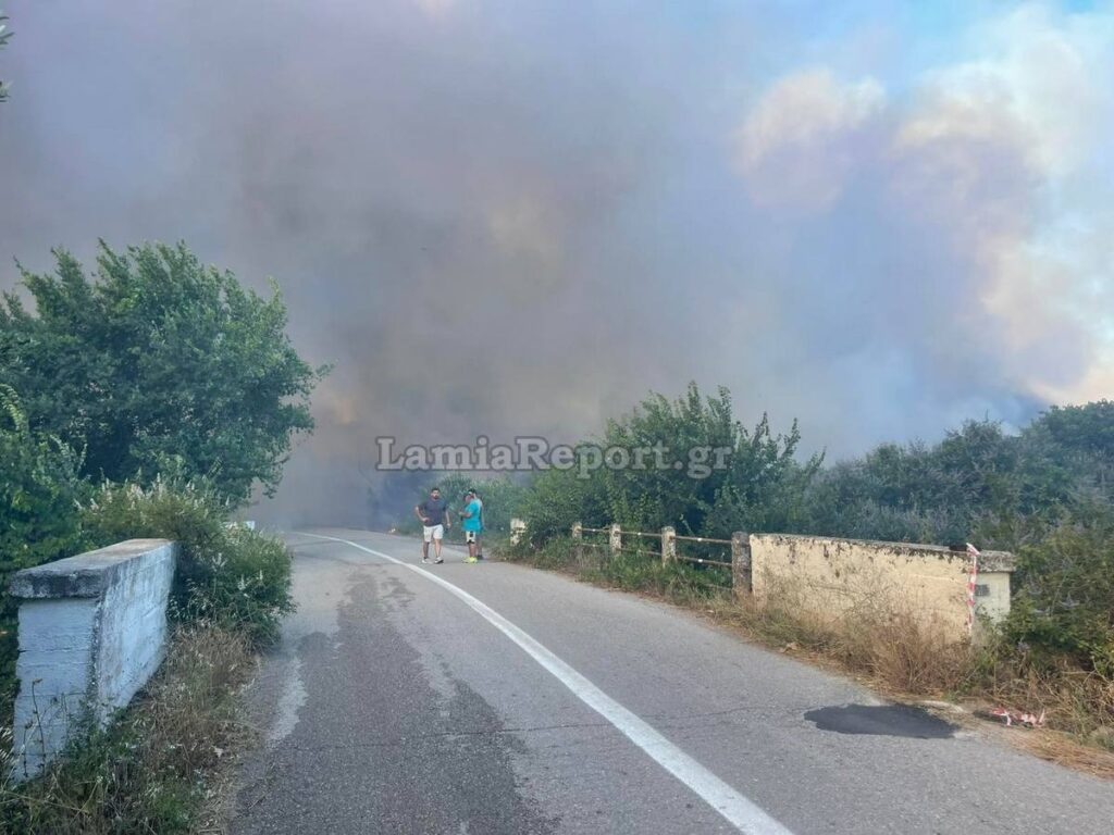 Φωτιά Στυλίδα Φθιώτιδα Πυρκαγιά