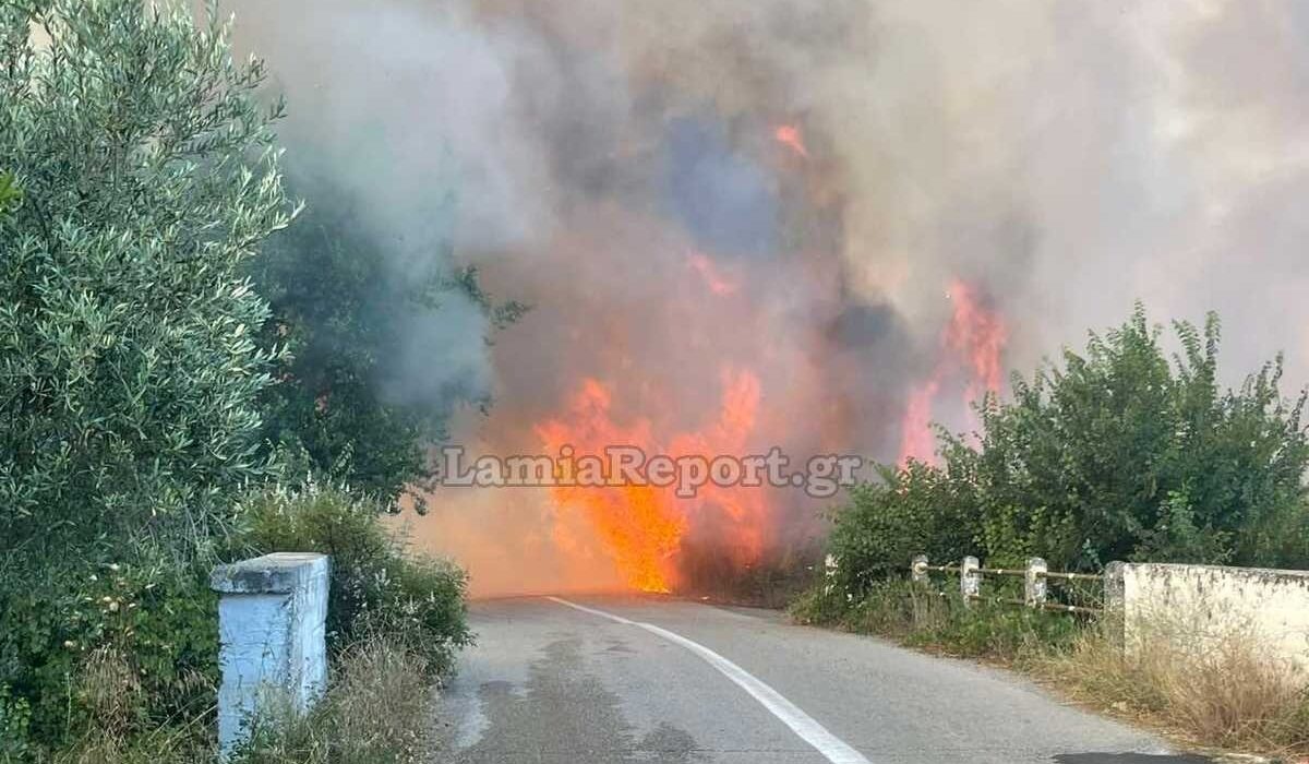 Φωτιά Στυλίδα Φθιώτιδα Πυρκαγιά