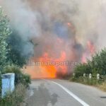 Φωτιά Στυλίδα Φθιώτιδα Πυρκαγιά