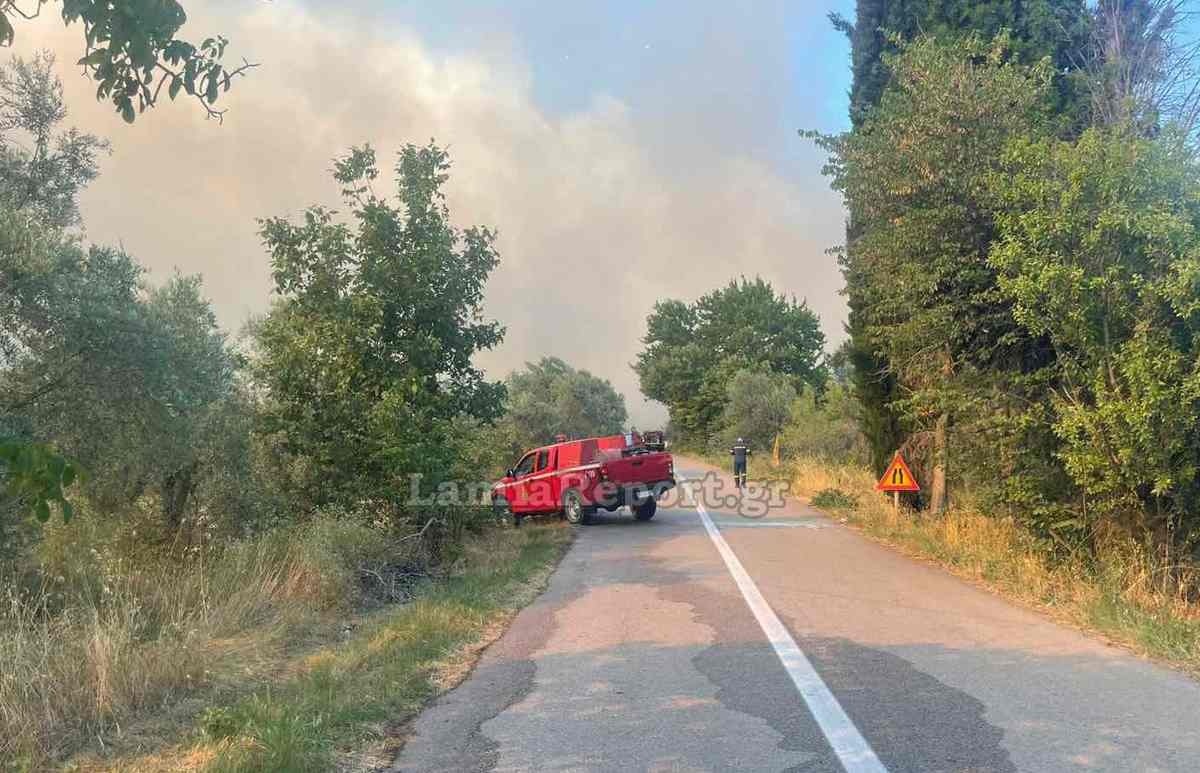 Φωτιά Στυλίδα Φθιώτιδα Πυρκαγιά