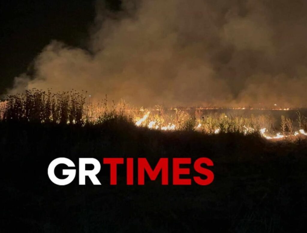 Φωτιά Πυρκαγιά Θεσσαλονίκη