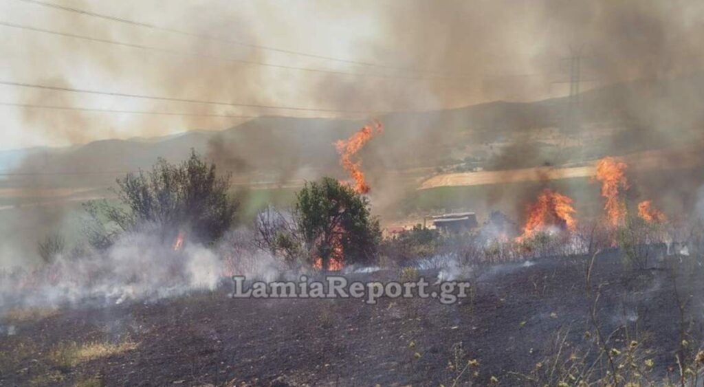 Φωτιά στον Δομοκό: Επιχειρούν εναέρια μέσα (εικόνες)