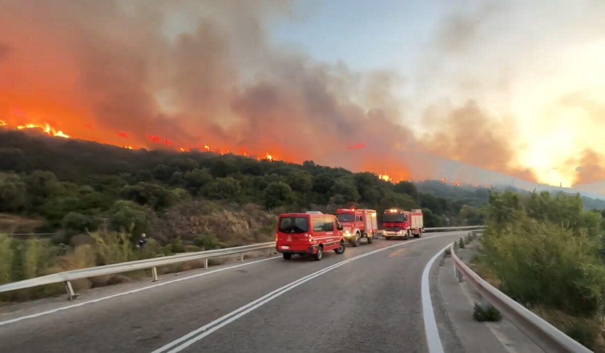 Υπό έλεγχο η φωτιά στην Παλαιοπαναγιά Ναυπάκτου – Συνεχίζουν να επιχειρούν ισχυρές δυνάμεις της Πυροσβεστικής (βίντεο)