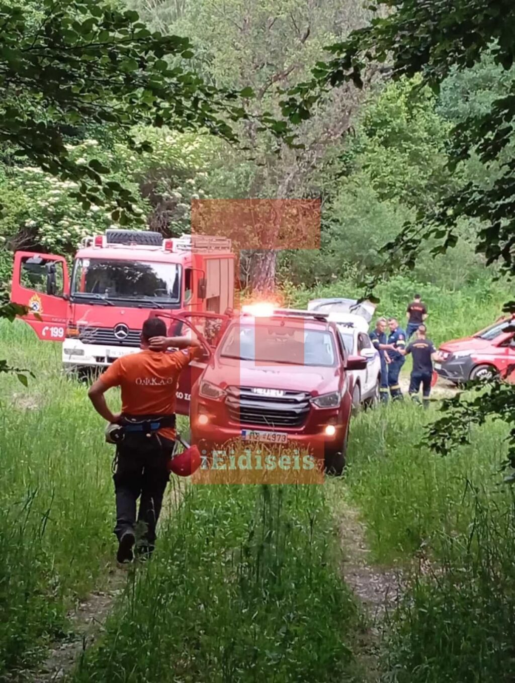 Δράμα: Χωρίς τις αισθήσεις του ο ορειβάτης που έπεσε σε γκρεμό μετά την επίθεση αρκούδας