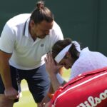 Στέφανος Τσιτσιπάς Wimbledon 2025
