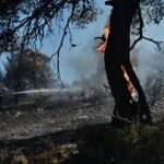 φωτιά Κορωπί Μαρκόπουλο