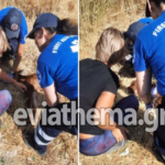 Φωτιά Εύβοια