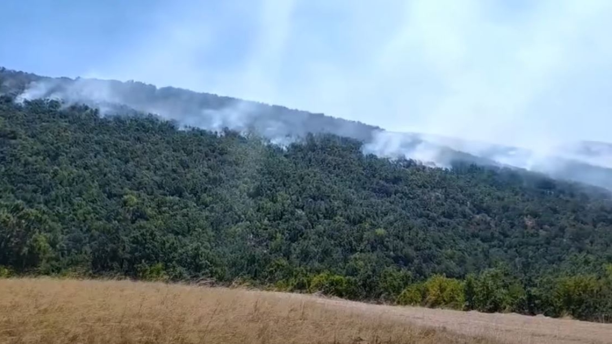 Αναζωπυρώθηκε η φωτιά στην Κοζάνη – Μάχη με 57 πυροσβέστες και 2 ελικόπτερα