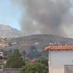 Φωτιά τώρα στη Βοιωτία – Ήχησε για εκκένωση το 112