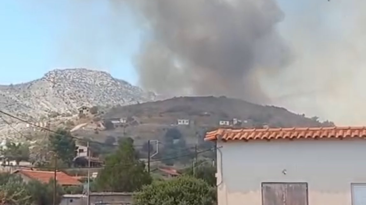 Φωτιά τώρα στη Βοιωτία – Ήχησε για εκκένωση το 112