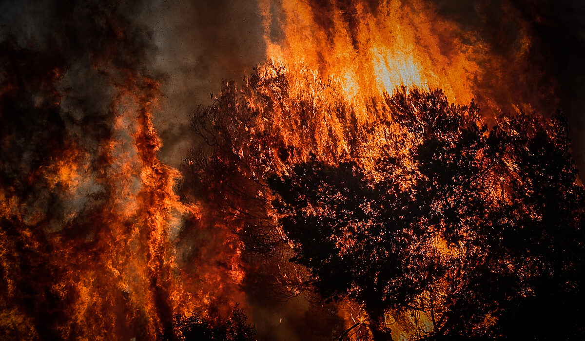 Ραφήνα: Ολονύχτια μάχη με τις αναζωπυρώσεις – Κάηκαν περιουσίες, κινδύνευσαν ανθρώπινες ζωές (Βίντεο, Εικόνες)