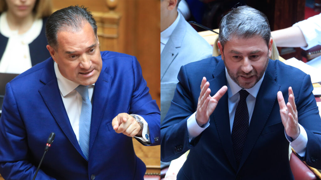Άδωνις Γεωργιάδης Νίκος Ανδρουλάκης