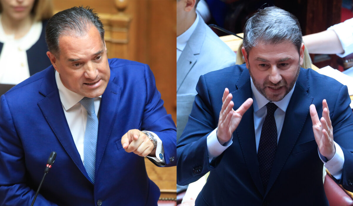 Άδωνις Γεωργιάδης Νίκος Ανδρουλάκης