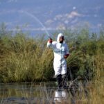 Τα κουνούπια «έζωσαν» τον Δήμο Νέστου - Ζητούν να κηρυχθεί σε κατάσταση έκτακτης ανάγκης