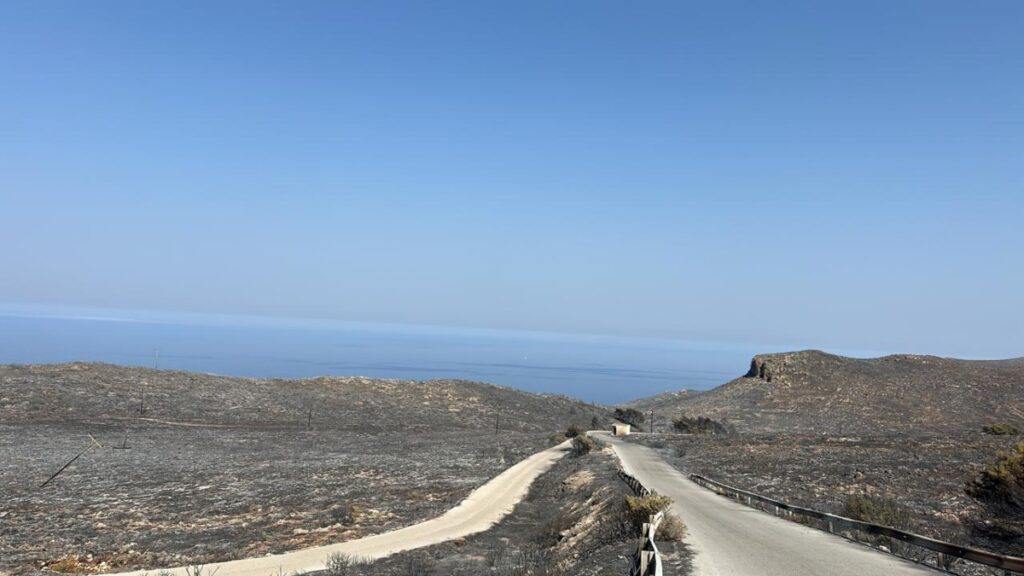 Συναγερμός για τα Κύθηρα: Ο Λέκκας προβλέπει «ταχεία ερημοποίηση» μετά τη φωτιά